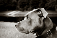 IMG_0272bw